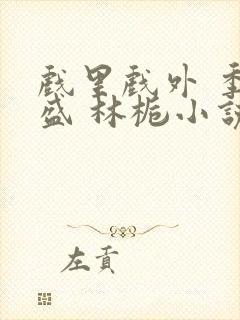 戏里戏外 季淮盛 林栀小说