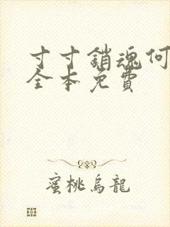 寸寸销魂何生祥全本免费