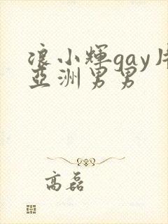 浪小辉gay片亚洲男男
