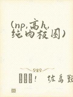 (np,高h,纯肉校园)