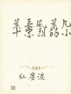 叶长风叶凡一门十忠烈的小说封面