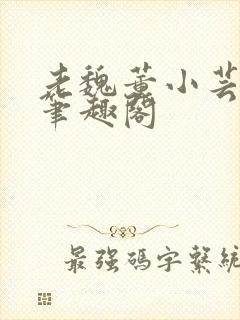 老魏董小芸全文笔趣阁