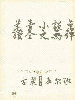 叶青小说免费阅读全文无弹窗