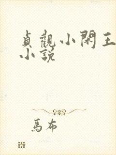 贞观小闲王李慎小说封面