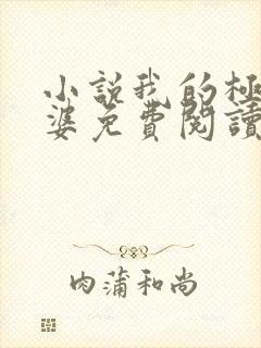 小说我的极品老婆免费阅读全文