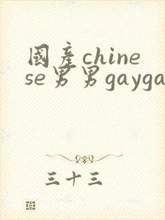 国产chinese男男gaygay网站2025封面