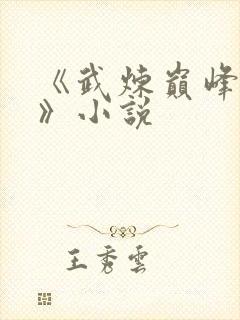 《武炼巅峰杨开》小说封面