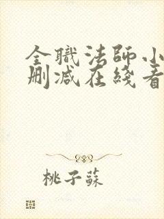 全职法师小说未删减在线看