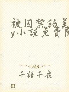 被囚禁的美人by小说免费阅读封面