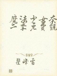 魔法少女奈叶第二季免费观看