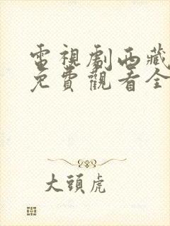 电视剧西藏秘密免费观看全集高清