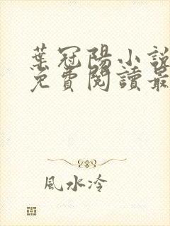 叶冠阳小说全文免费阅读最新章节