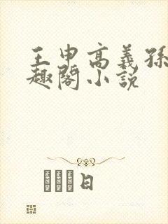 王申高义孙倩笔趣阁小说封面