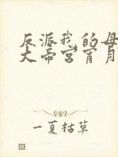 反派我的母亲是大帝宫宵月笔趣阁