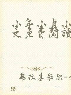 小年小月小说全文免费阅读无弹窗