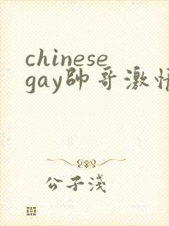 chinesegay帅哥激情