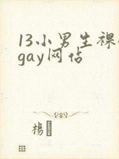 13小男生裸体gay网站