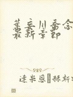 叶妄川乔念小说最新章节