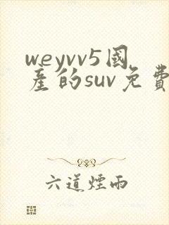 weyvv5国产的suv免费