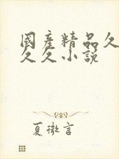 国产精品久久久久久小说封面