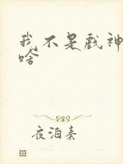 我不是戏神讲的啥