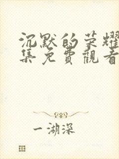 沉默的荣耀24集免费观看