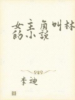 女主角叫林星阑的小说封面