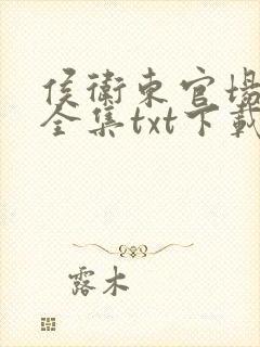 侯卫东官场笔记全集txt下载