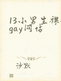 13小男生裸体gay网站