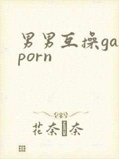 男男互操gayporn