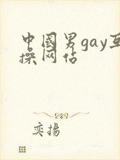 中国男gay互操网站