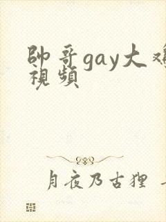 帅哥gay大鸡视频