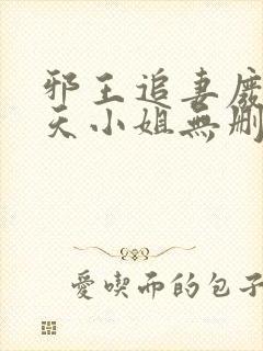 邪王追妻废材逆天小姐无删减免费阅读封面