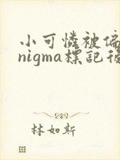 小可怜被偏执enigma标记后小说封面