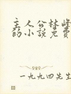 主人公林峰宁欣的小说免费阅读