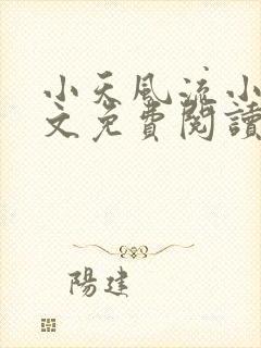 小天风流小说全文免费阅读无弹窗下