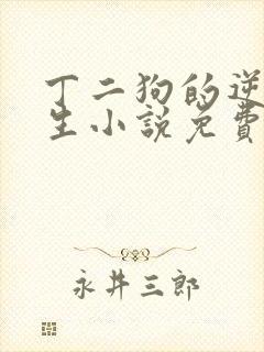 丁二狗的逆袭人生小说免费阅读