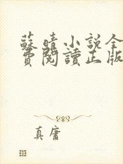 苏晴小说全文免费阅读正版无弹窗