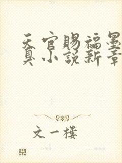 天官赐福墨香铜臭小说新章节列表