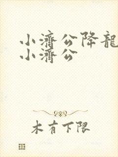 小济公降龙伏虎小济公