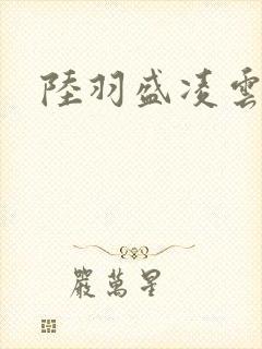 陆羽盛凌云封面