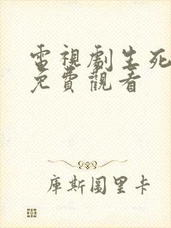 电视剧生死英雄免费观看封面