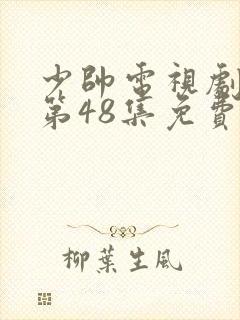 少帅电视剧全集第48集免费