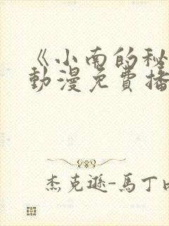 《小南的秘密》动漫免费播放