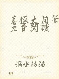 真探大用笔趣阁免费阅读