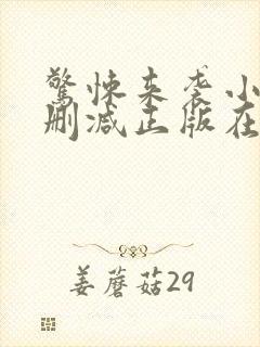 惊悚来袭小说无删减正版在线阅读