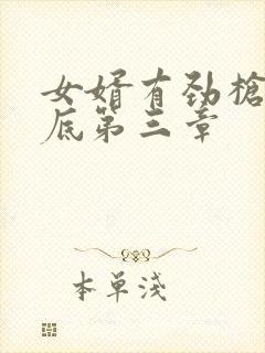 女婿有劲枪枪到底第三章