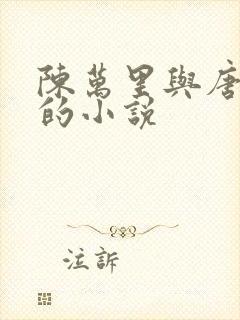 陈万里与唐嫣然的小说