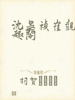 沈晏祯崔观颐笔趣阁