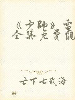 《少帅》电视剧全集免费观看高清封面